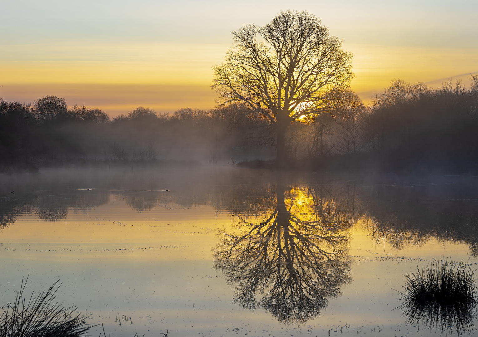 Morgenstund hat Gold im Mund