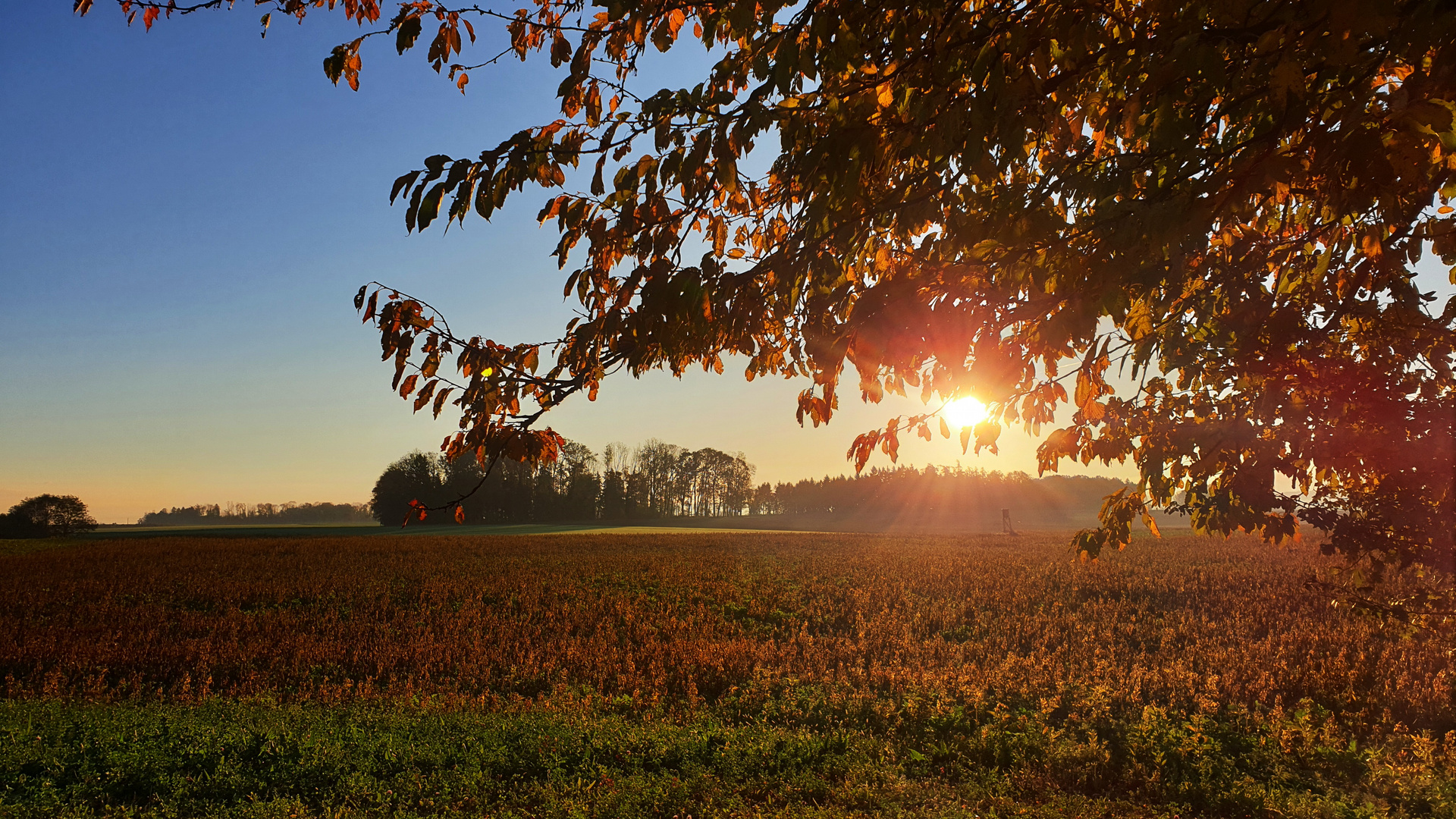 Morgenstund hat Gold im Mund :-)