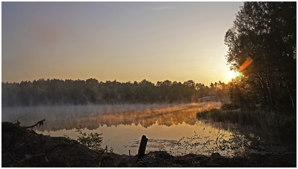 MORGENSTUND HAT GOLD IM MUND