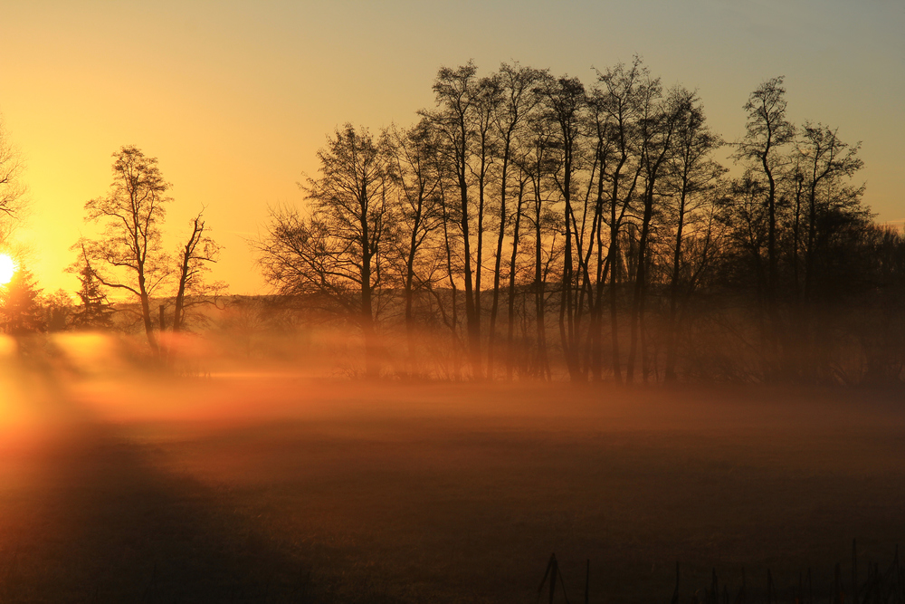 Morgenstund' hat Gold im Nebel