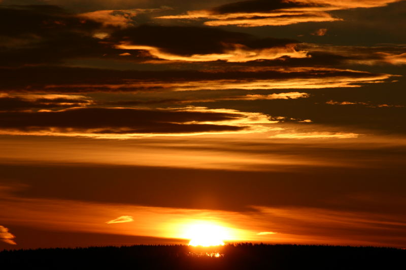 Morgenstund hat Gold im....Sonnenaufgang in Jena im  November