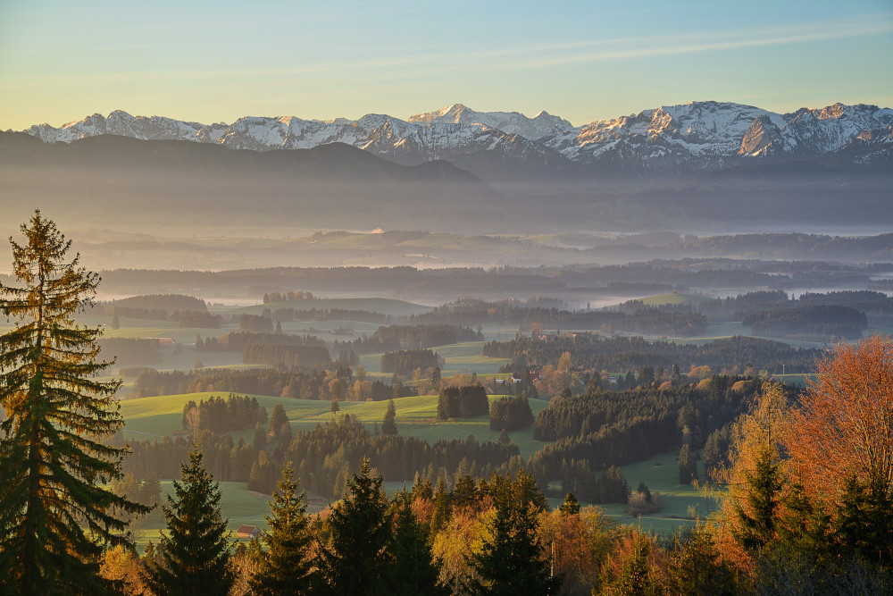 Morgenstund hat Gold vor der Kamera