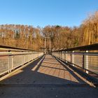 Morgenstund hat Gold......Brücke zum Frühling am 16. Januar 2020 bei 15 Grad...immer noch..