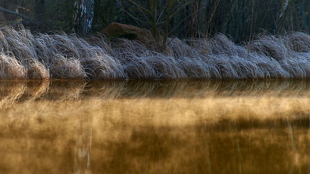hat Gold&hellip;.die 2. traumhaft schön war das Licht heute