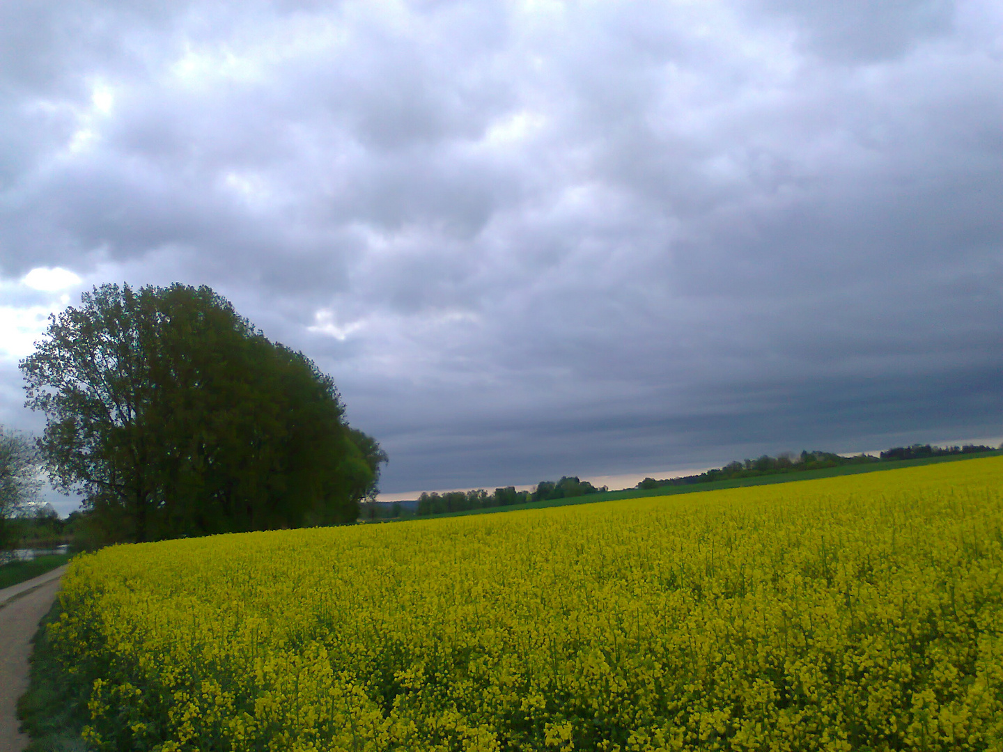 Morgenstund hat " Natur Pur " fürs Auge und ist gesund  10.5.2015