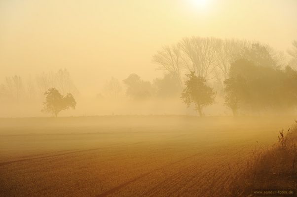 Morgenstund hat ... Nebelschwund ;-)