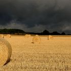 Morgenstund hat......Eine kurzes Lebenszeichen von mir. Regenwetter zwingt mich zur Arbeitspause...