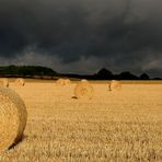 Morgenstund hat......Eine kurzes Lebenszeichen von mir. Regenwetter zwingt mich zur Arbeitspause...