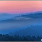 Morgenstund im Beisetal ( Knüllwald)