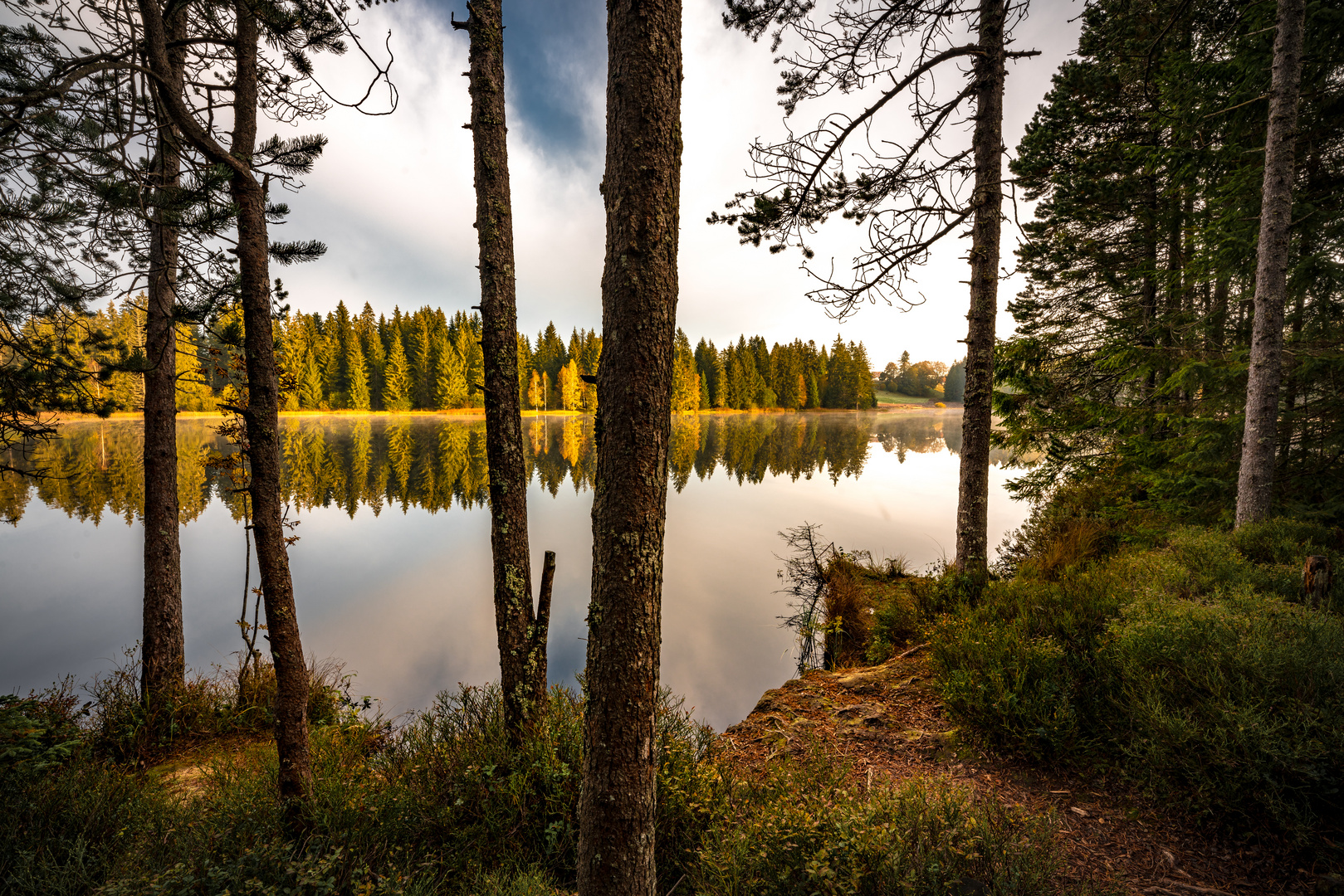 Morgenstund im Herbst