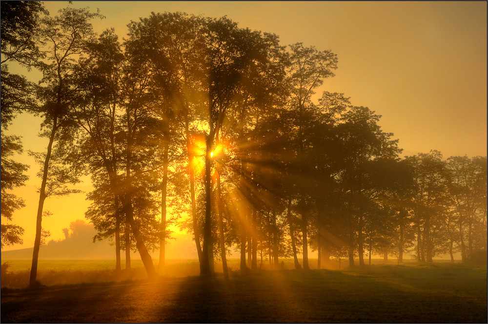 Morgenstund in der Linthebene