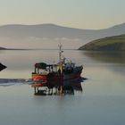 Morgenstund in Dingle Bay