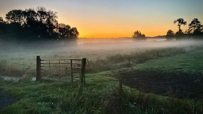 Morgenstund macht Nebel bunt
