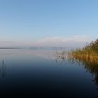 Morgenstunde am Bodden