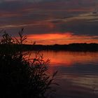 Morgenstunde am Wörthsee