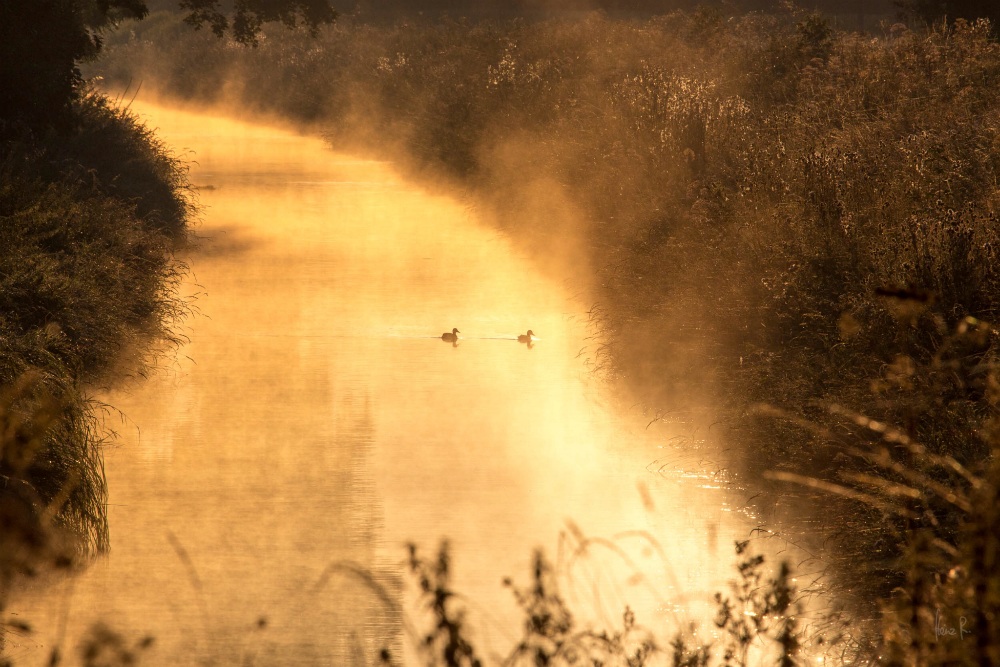 Morgenstunde an der Isar