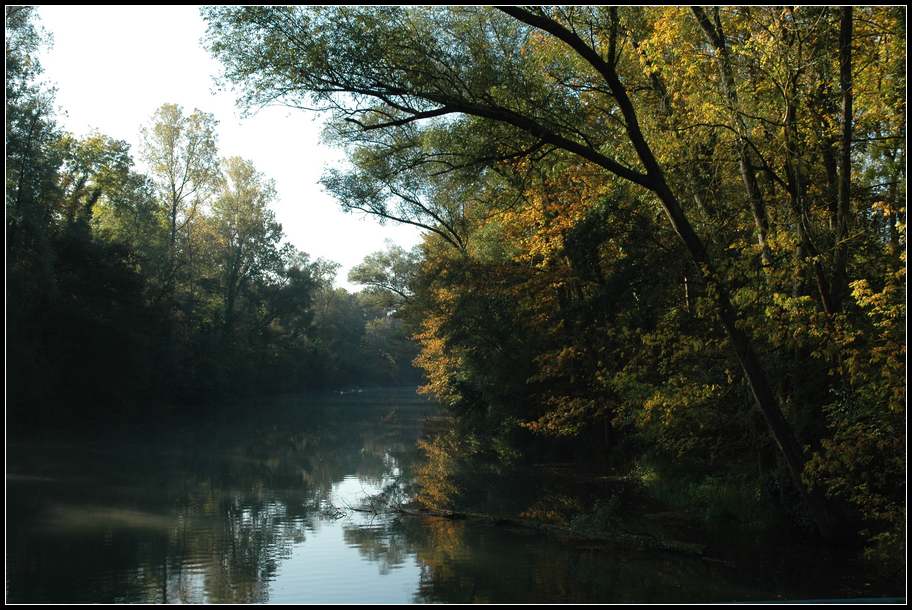 Morgenstunde auf dem Altrhein