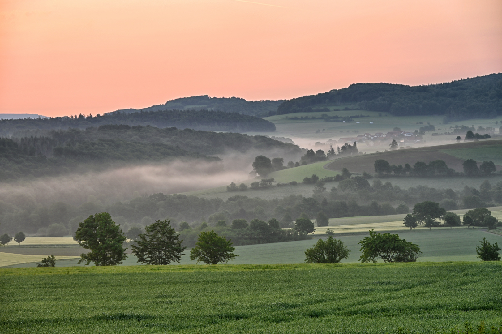 Morgenstunde....