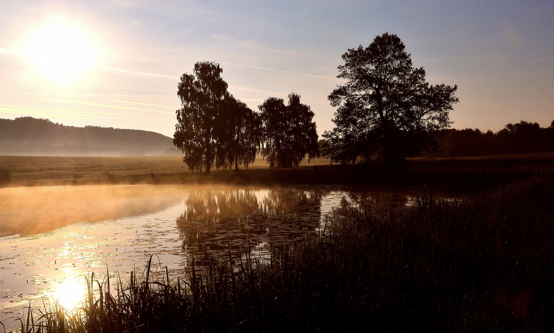 Morgenstunde