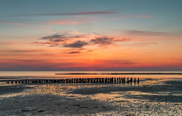 Morgenstunde im Watt