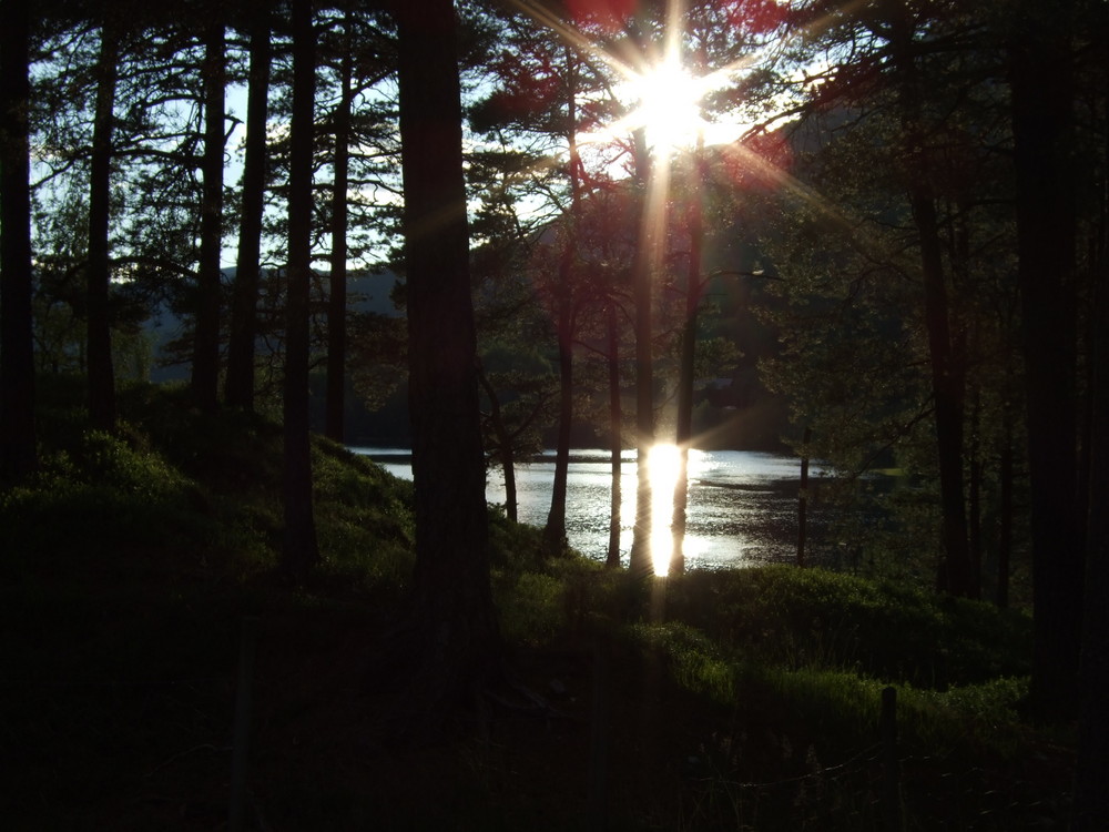 Morgenstunde in Norwegen