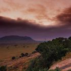 Morgenstunde in tsavo ost in Kenia.