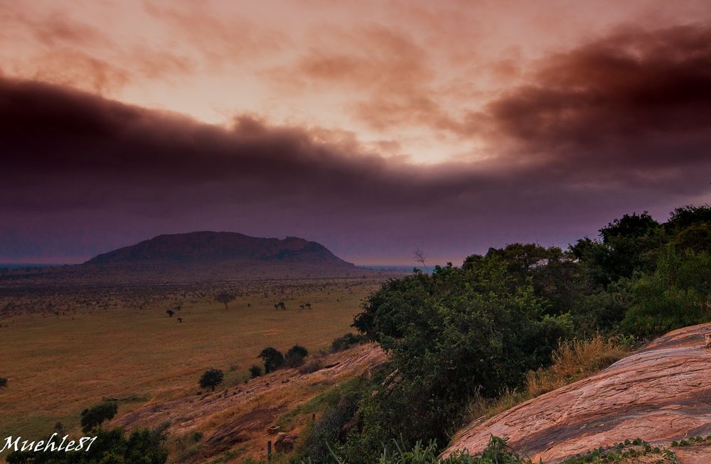 Morgenstunde in tsavo ost in Kenia.