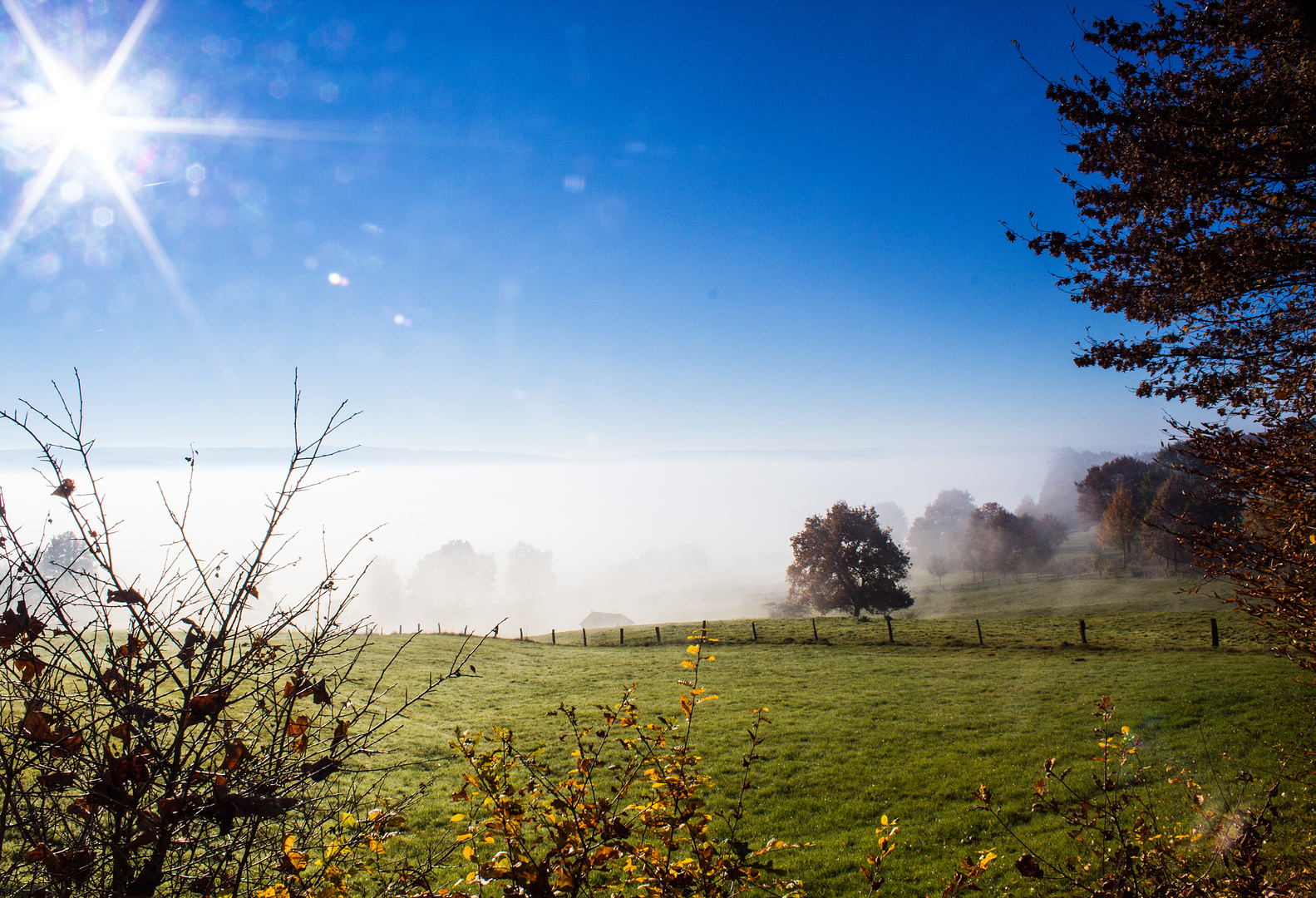 Morgenstunden