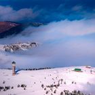 Morgenstunden Am Feldberg 