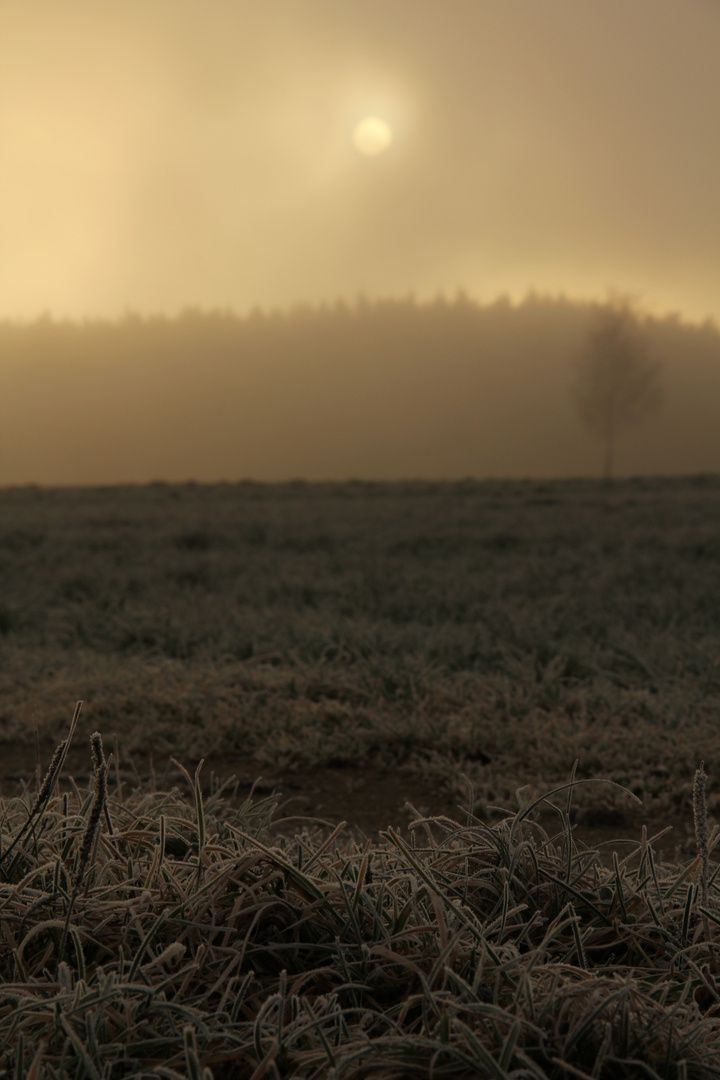 Morgenstunden im Chiemgau