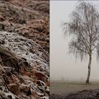 Morgenstunden im Chiemgau- 3