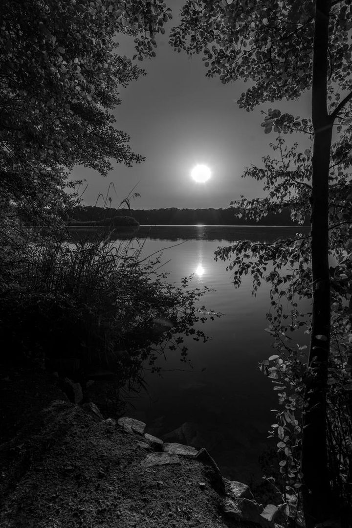 Morgenszene am Mönchhofsee sw