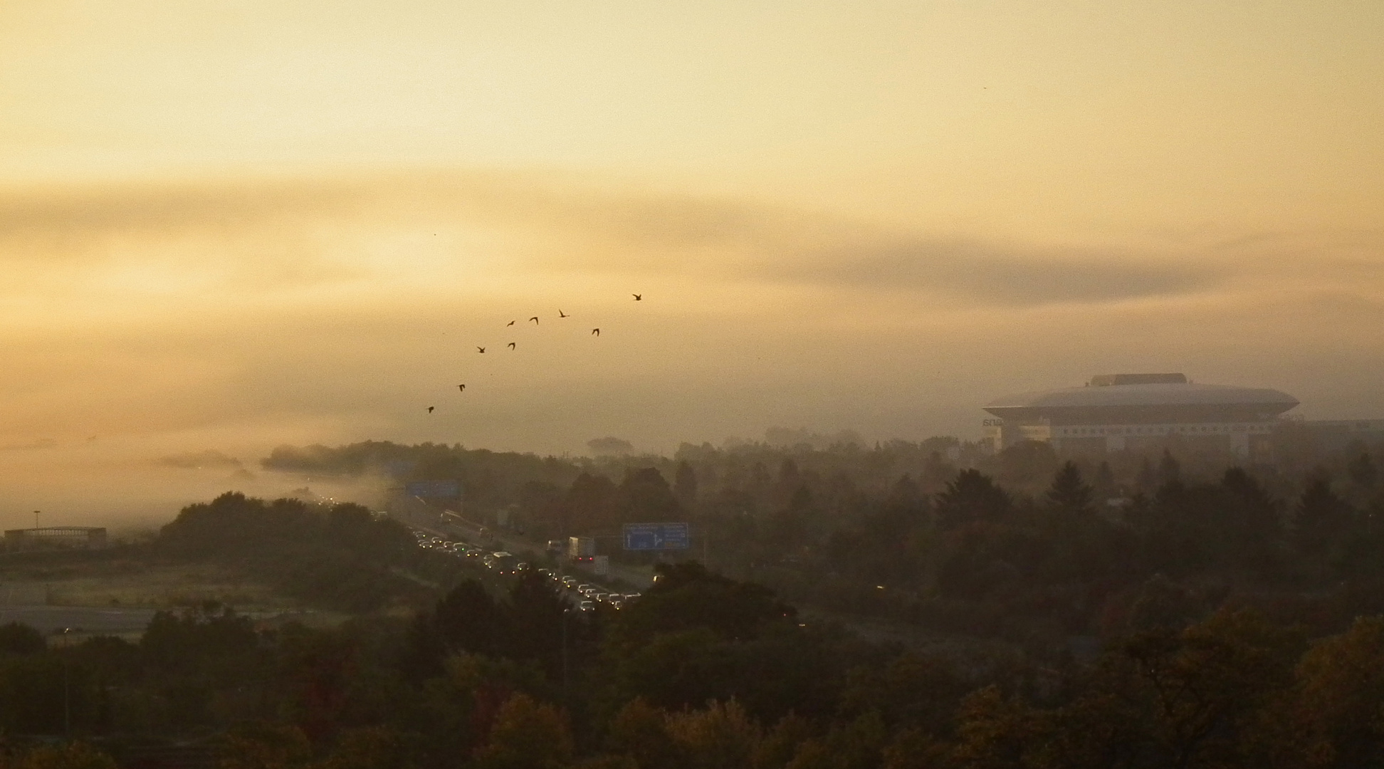 Morgenszene in Mannheim