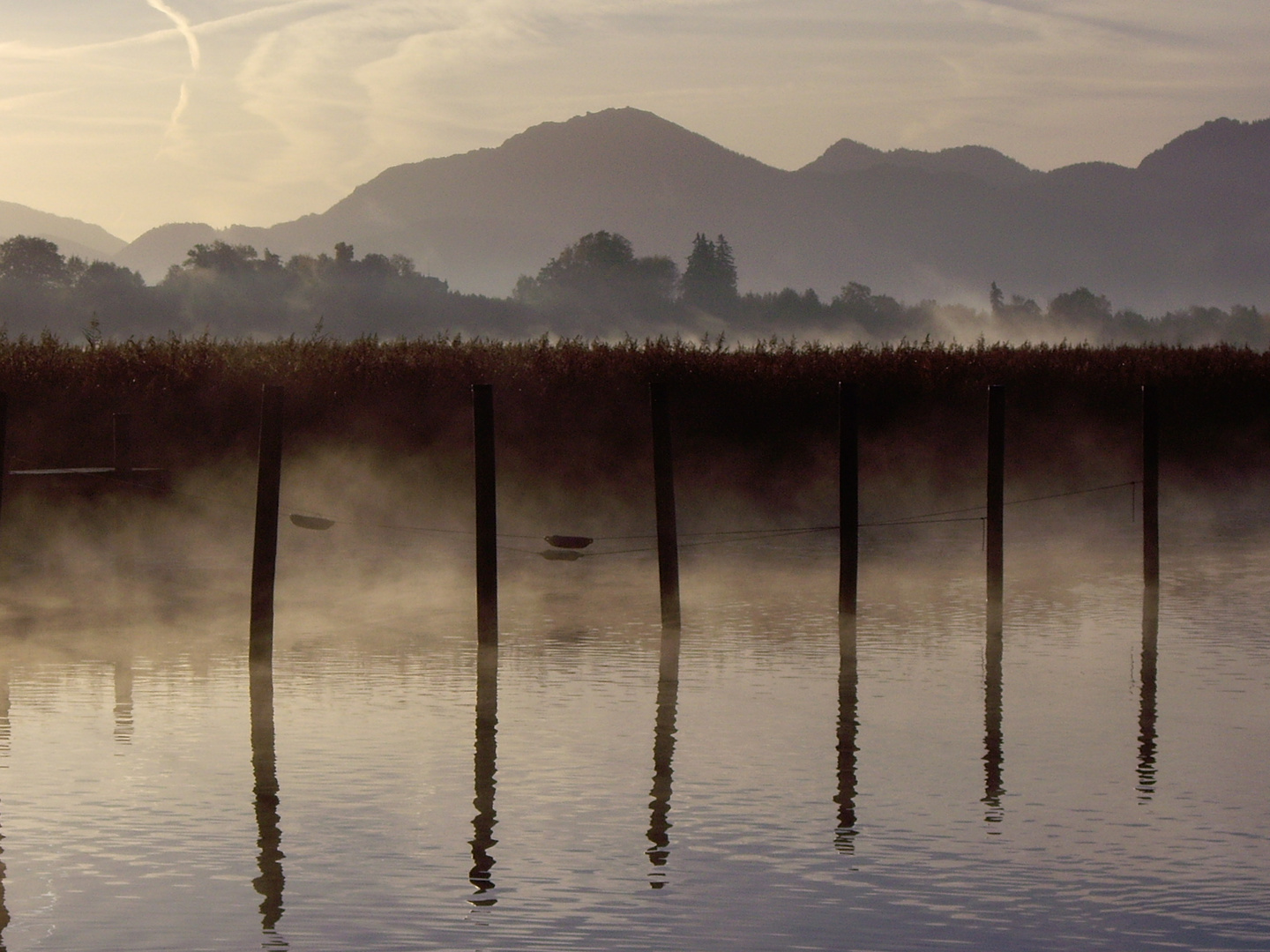 Morgentau am Chiemsee