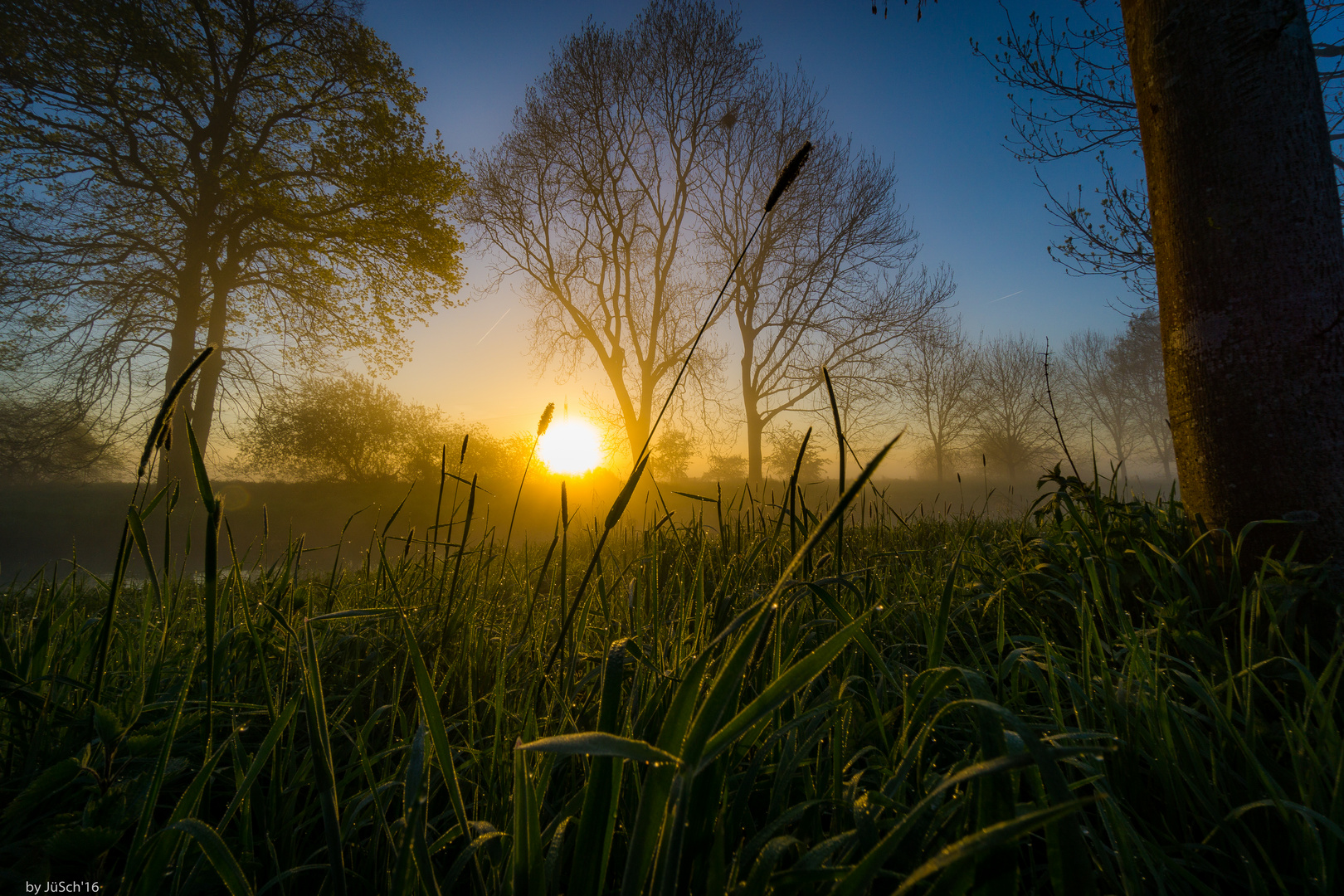 Morgentau am niederrheinischen Flüsschen Niers 