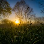 Morgentau am niederrheinischen Flüsschen Niers 