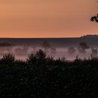 Morgentau auf Rügen