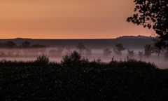 Morgentau auf Rügen