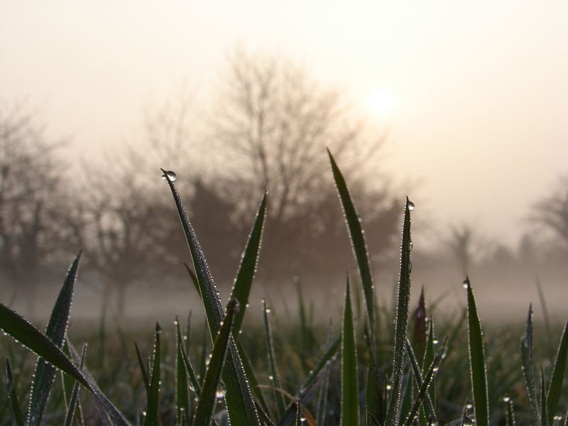 Morgentau im Morgenrot