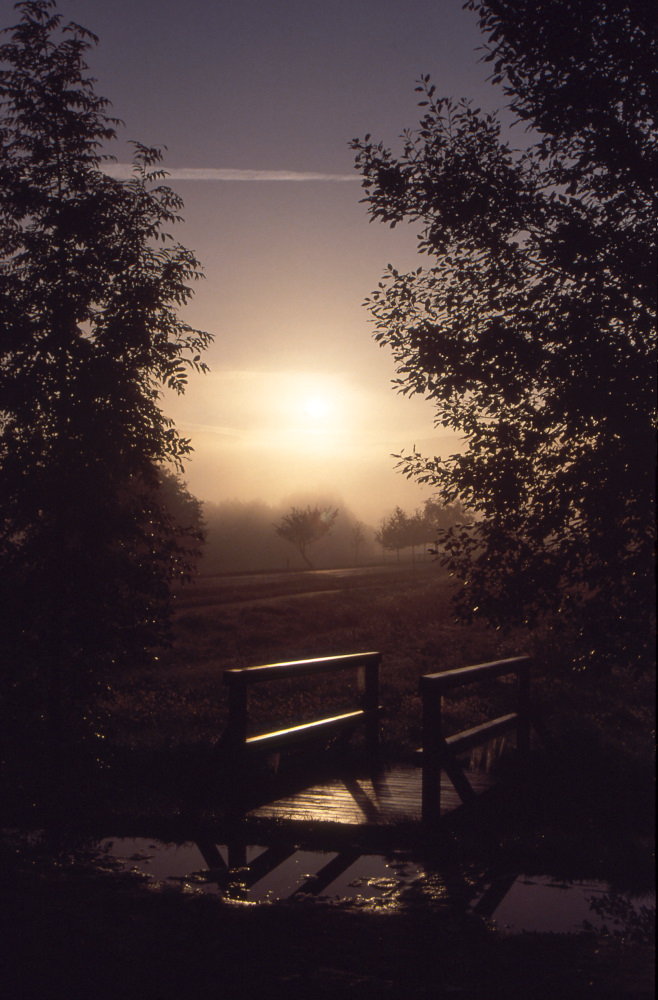 Morgentau in Fürth/odw.