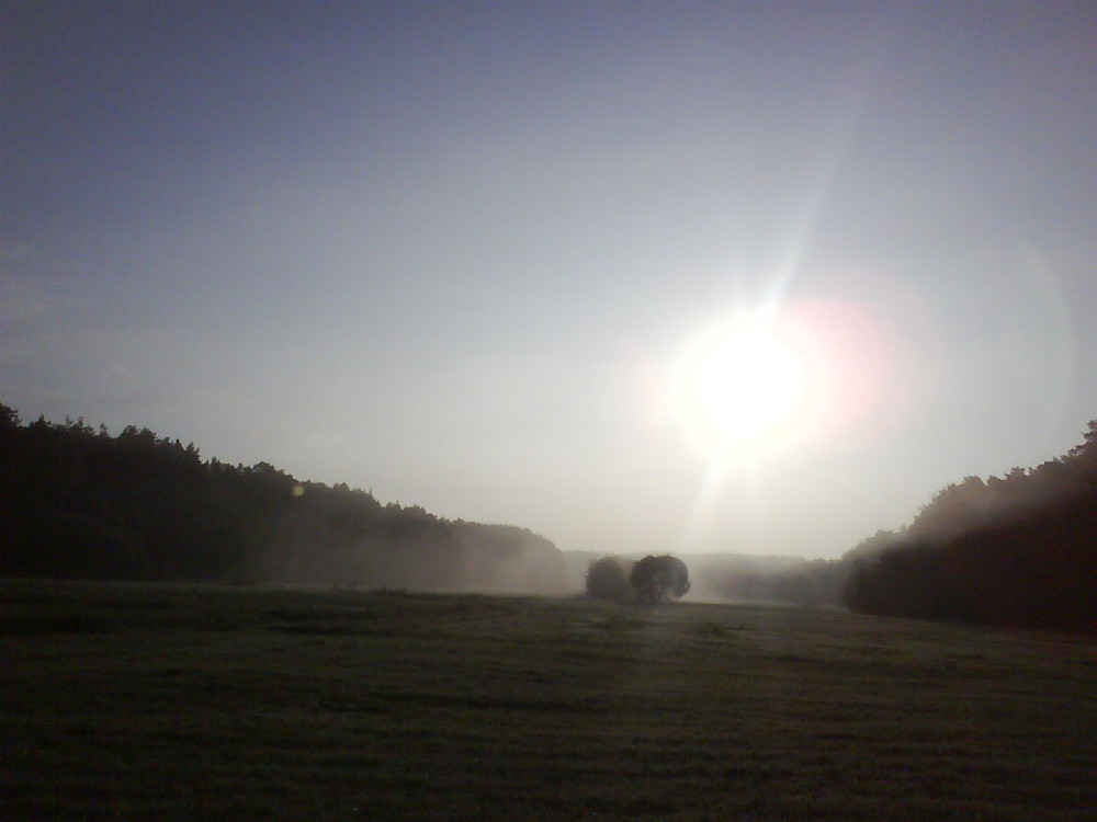 Morgentau über den Wiesen