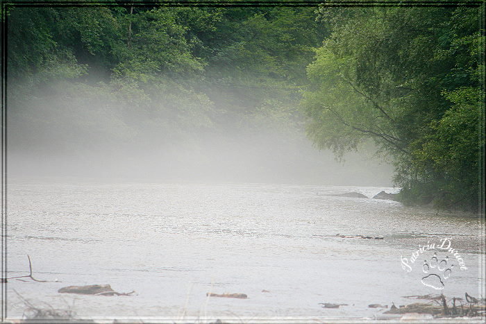 Morgentilicher Nebel über den Fluss