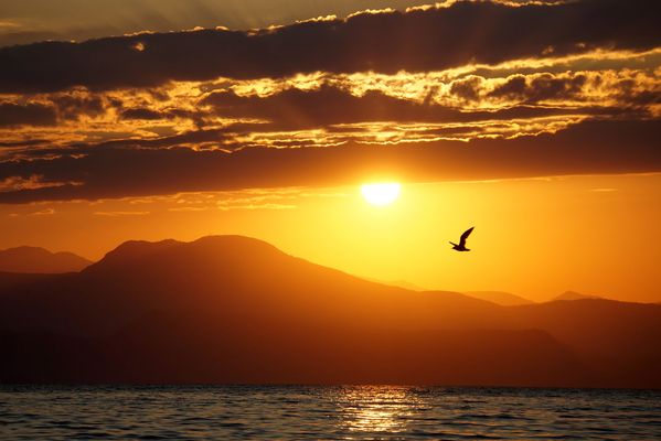 Morgentliche Stille ...