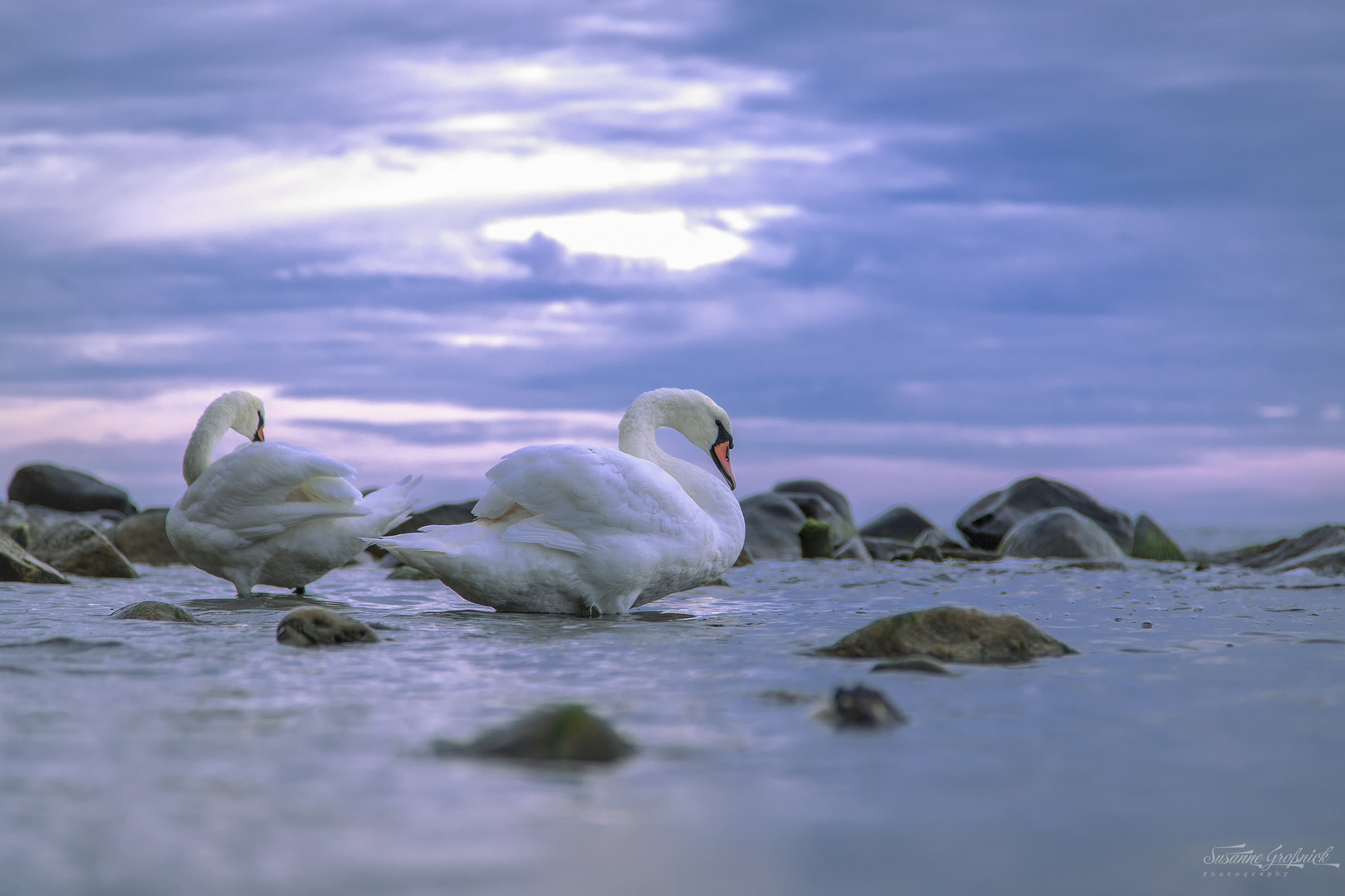 Morgentliche Stimmung am Meer