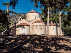 morgentlicher ästeschattenteppich...