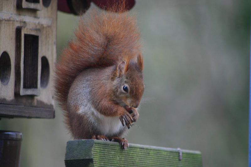 Morgentlicher Besuch Teil 2