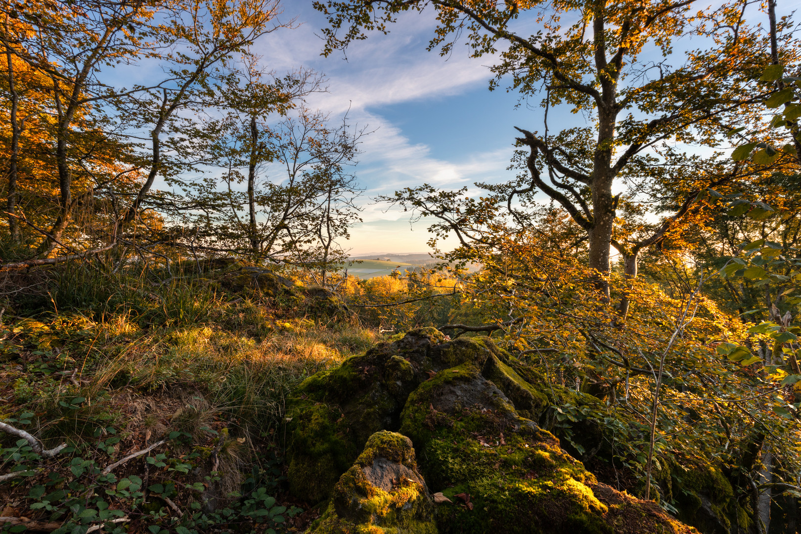 Morgentlicher Blick vom Ernstberg