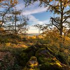 Morgentlicher Blick vom Ernstberg