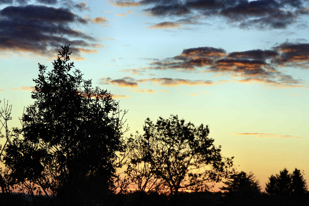 Morgentlicher Fensterblick