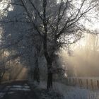 morgentlicher Frost